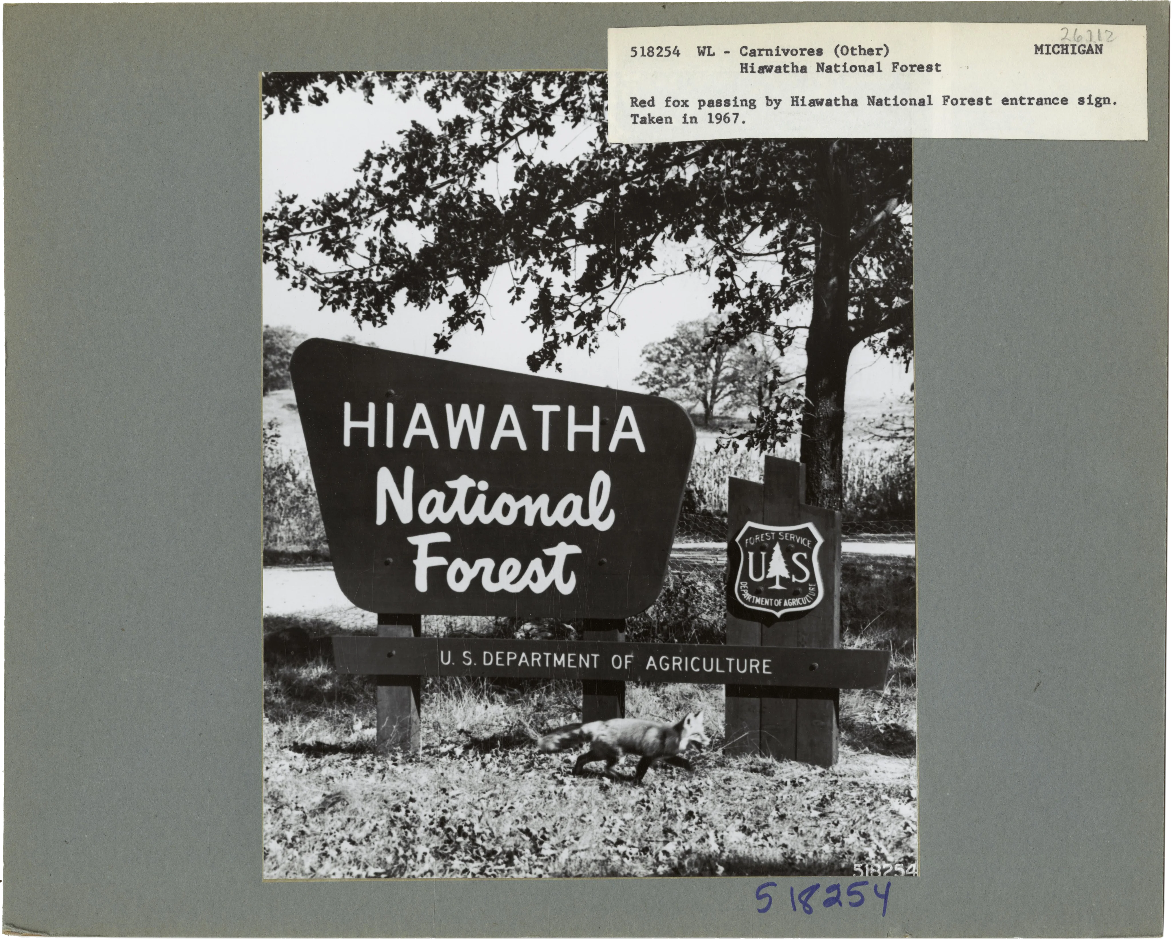 U.S. Forest Service Historical Photo